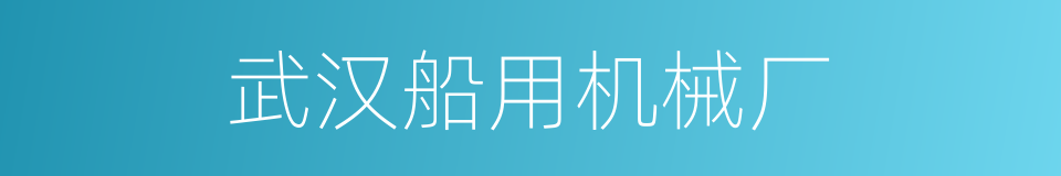 武汉船用机械厂的同义词