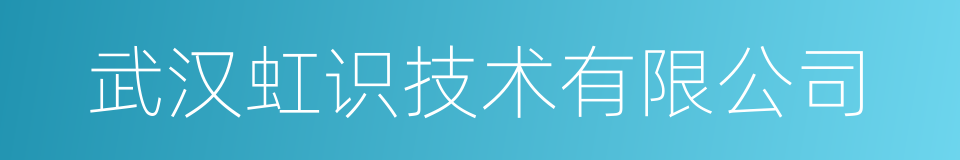 武汉虹识技术有限公司的同义词
