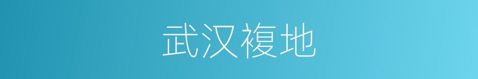 武汉複地的同义词