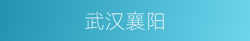武汉襄阳的同义词