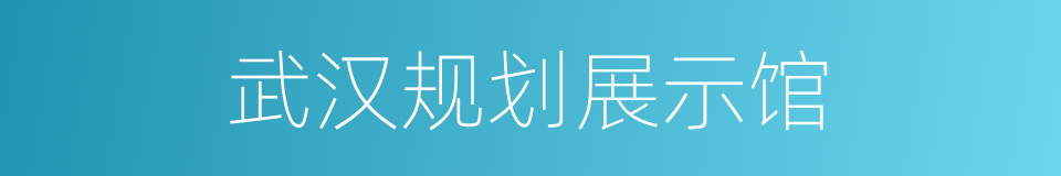 武汉规划展示馆的同义词