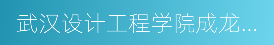 武汉设计工程学院成龙影视传媒学院的同义词