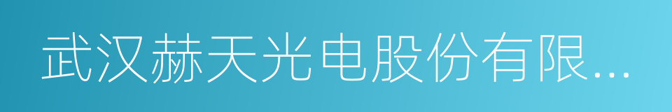 武汉赫天光电股份有限公司的同义词