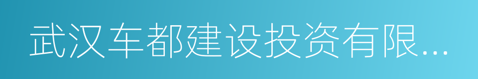 武汉车都建设投资有限公司的同义词