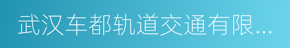 武汉车都轨道交通有限公司的同义词