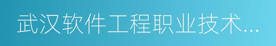 武汉软件工程职业技术学院的同义词