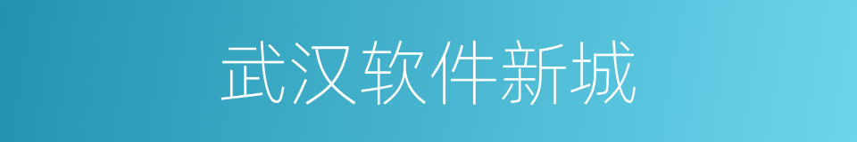 武汉软件新城的同义词