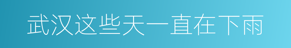 武汉这些天一直在下雨的同义词