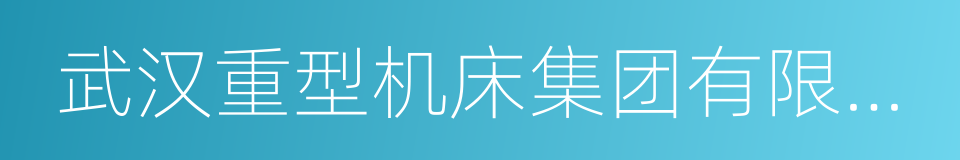 武汉重型机床集团有限公司的同义词