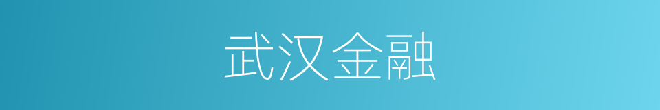 武汉金融的同义词