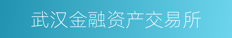 武汉金融资产交易所的同义词