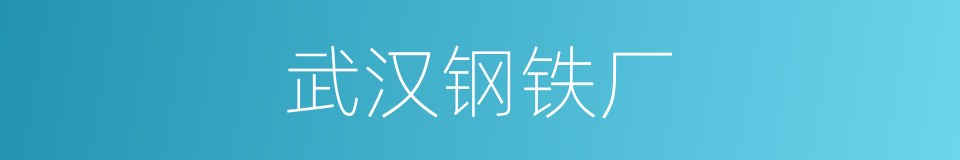 武汉钢铁厂的同义词