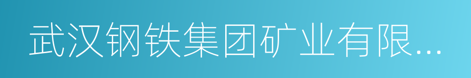 武汉钢铁集团矿业有限责任公司的同义词