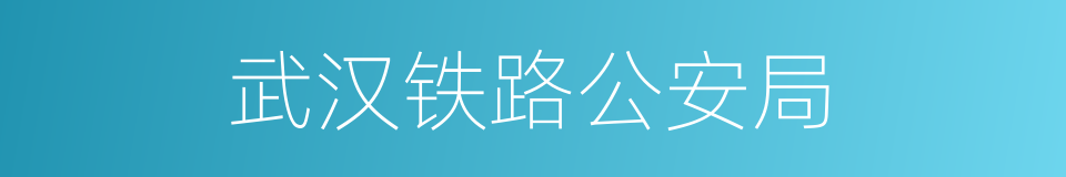 武汉铁路公安局的同义词