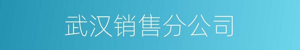 武汉销售分公司的同义词