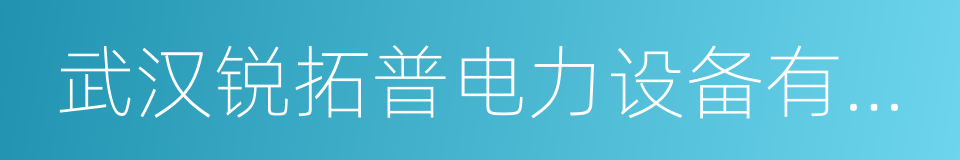 武汉锐拓普电力设备有限公司的同义词