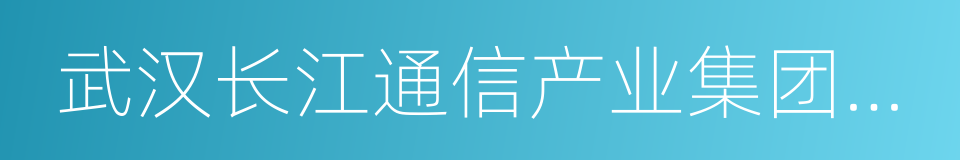 武汉长江通信产业集团股份有限公司的同义词