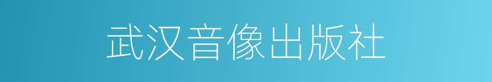 武汉音像出版社的同义词