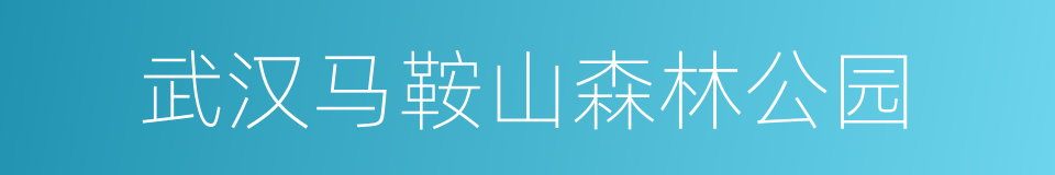 武汉马鞍山森林公园的同义词