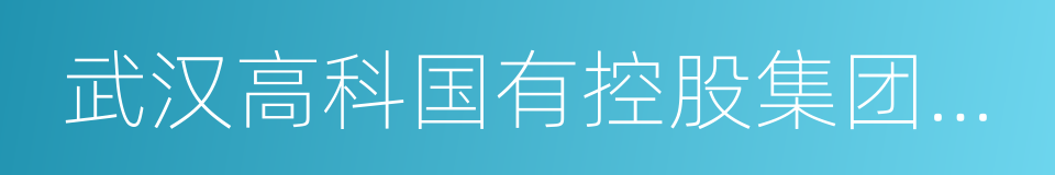 武汉高科国有控股集团有限公司的同义词