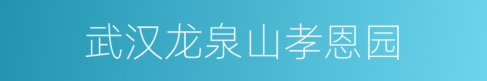 武汉龙泉山孝恩园的同义词