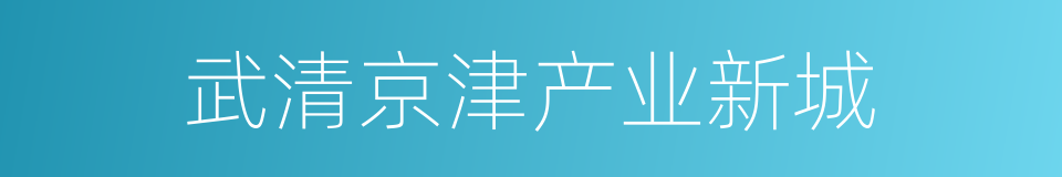 武清京津产业新城的同义词