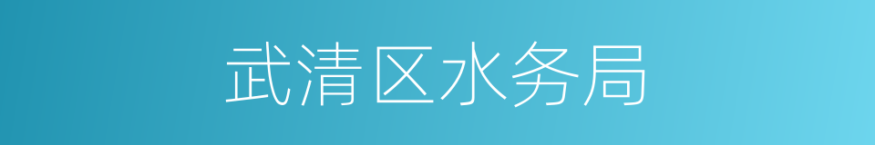 武清区水务局的同义词