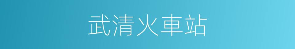 武清火車站的同義詞