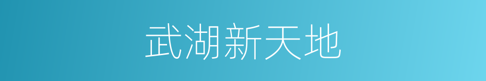 武湖新天地的同义词