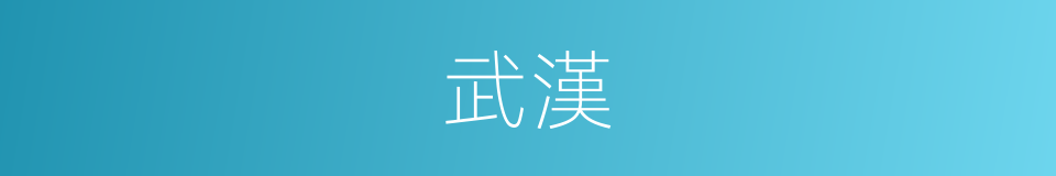 武漢的意思