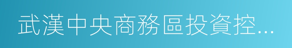 武漢中央商務區投資控股集團有限公司的同義詞