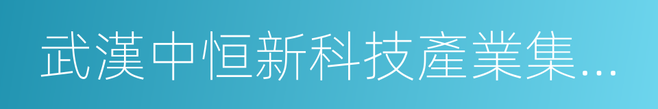 武漢中恒新科技產業集團有限公司的同義詞