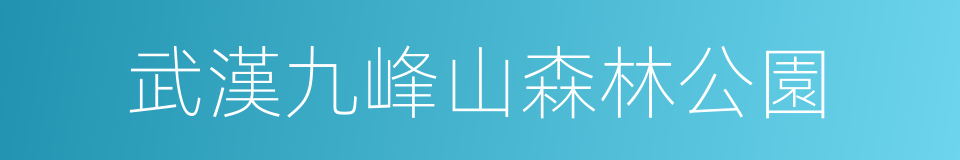 武漢九峰山森林公園的同義詞