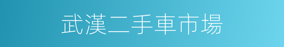 武漢二手車市場的同義詞