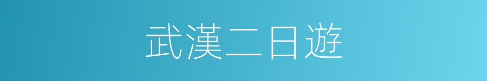 武漢二日遊的同義詞