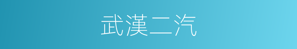 武漢二汽的同義詞