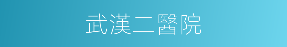 武漢二醫院的同義詞
