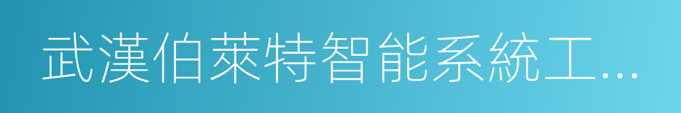 武漢伯萊特智能系統工程有限公司的同義詞