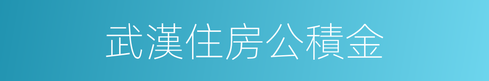 武漢住房公積金的同義詞