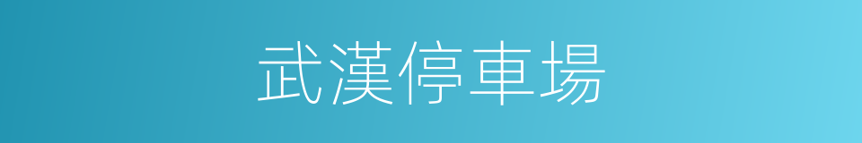 武漢停車場的同義詞