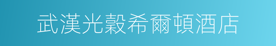 武漢光穀希爾頓酒店的同義詞