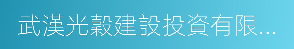 武漢光穀建設投資有限公司的同義詞