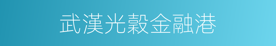 武漢光穀金融港的同義詞