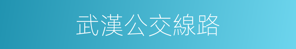 武漢公交線路的同義詞