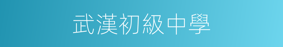 武漢初級中學的同義詞