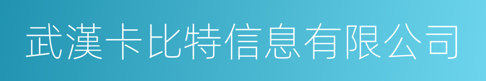 武漢卡比特信息有限公司的同義詞