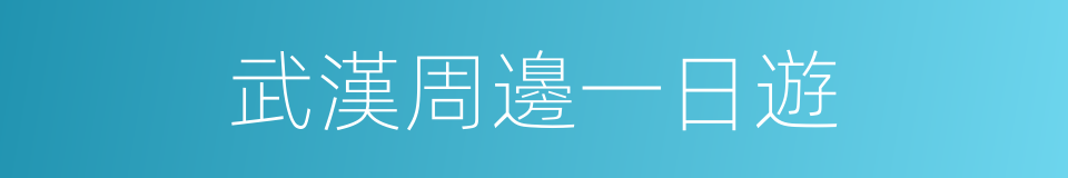 武漢周邊一日遊的同義詞
