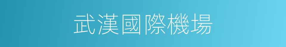 武漢國際機場的同義詞