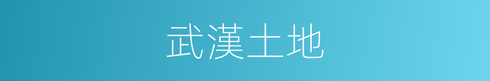 武漢土地的同義詞
