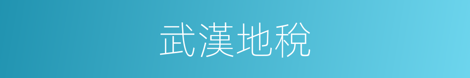 武漢地稅的同義詞
